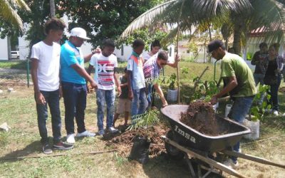 30 ÁRBOLES FRUTALES FUERON SEMBRADOS EN LA MARÍA